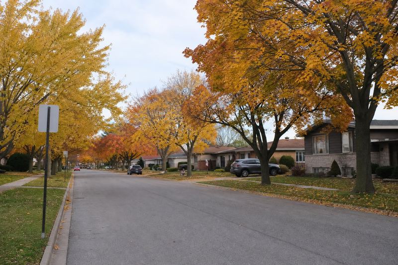 A quiet suburban street with autumn trees